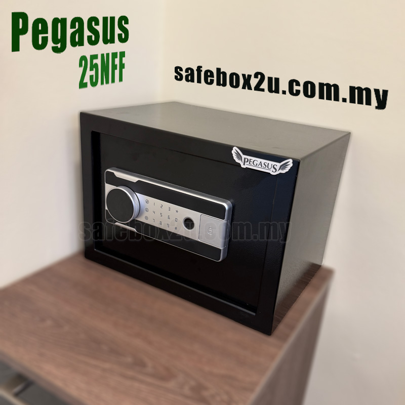 Pegasus 25nff