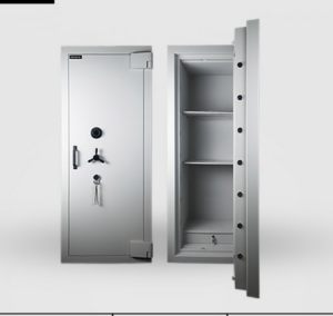 Aegeus Carrier XL1 Commercial Safe